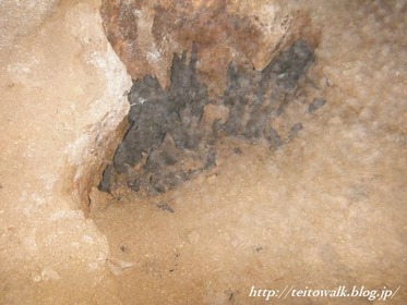 DSCF2491