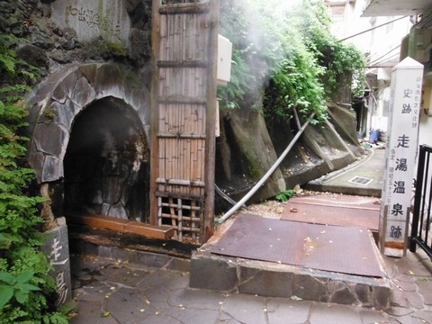 DSCF8611