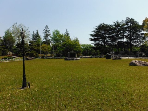 DSCF5219