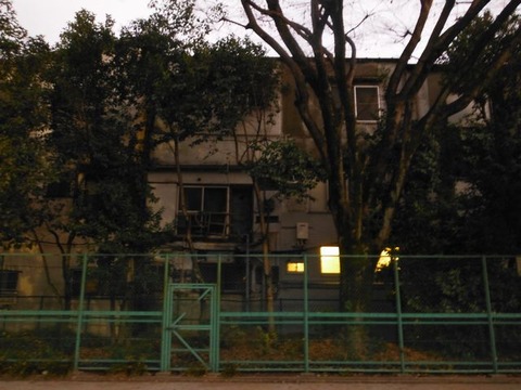 DSCF0524