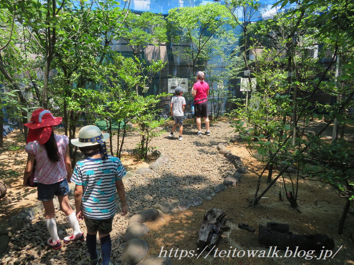 23区カブトムシの聖地 荒川自然公園 昆虫観察園 帝都を歩く