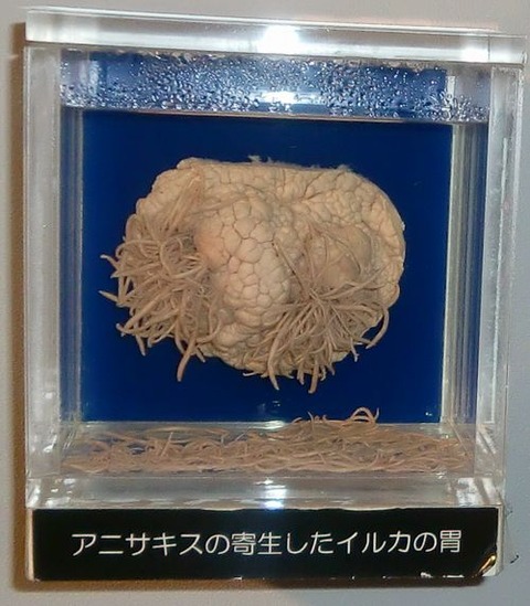 目黒時代2 057