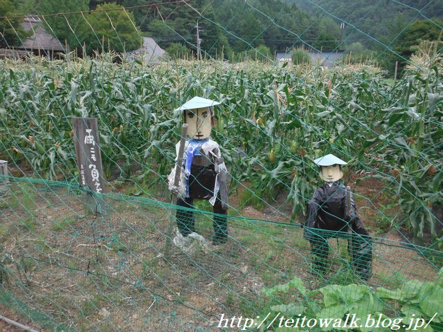 土石流に呑まれ消滅した集落を復元 西湖いやしの里根場 帝都を歩く