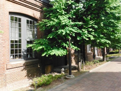 DSCF8240