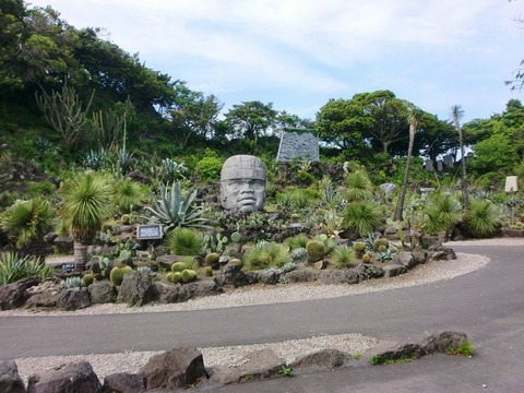 CIMG0808