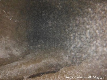 DSCF2483