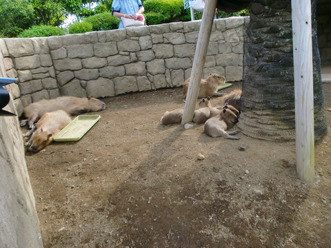 CIMG0852