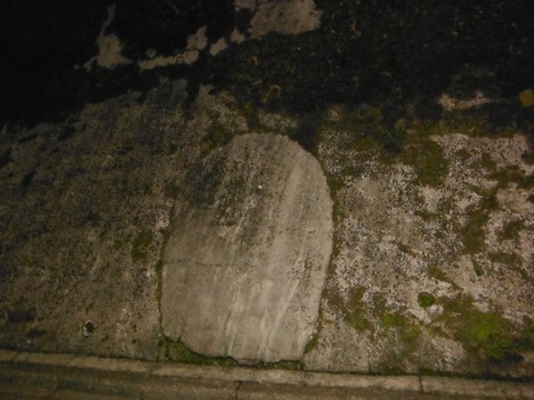 DSCF0230