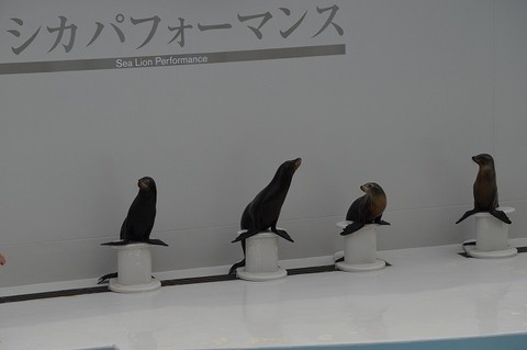 14年04月 のら流動物園 水族館ブログ 14年04月 のら流動物園 水族館ブログ