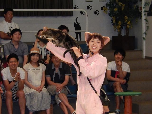 那須どうぶつ王国 ザ キャッツ のら流動物園 水族館ブログ