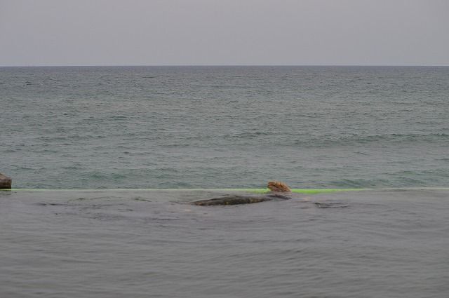 鴨川シーワールド エコ アクアローム 海亀の浜 のら流動物園 水族館ブログ