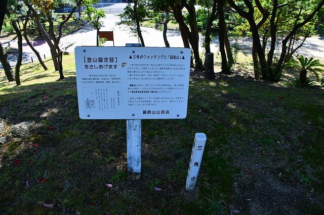 蘇鉄山 大浜公園 堺 大阪府 のら風絵日記リニューアル 蘇鉄山 大浜公園 堺 大阪府 のら風絵日記リニューアル
