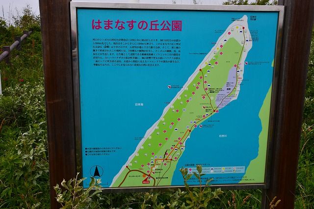 はまなすの丘公園 石狩市 北海道 のら風絵日記リニューアル はまなすの丘公園 石狩市 北海道 のら風絵日記リニューアル