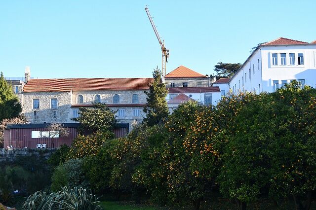 DSC_6613