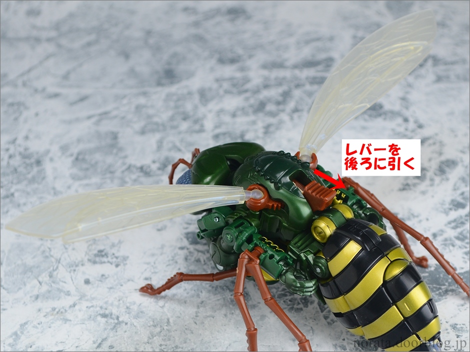 TG_waspinator(8)