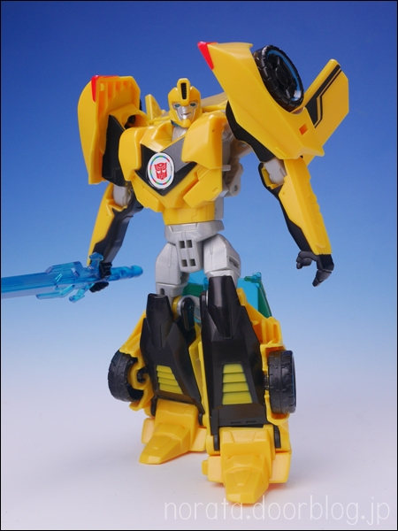 TFV01_bumblebee(18)