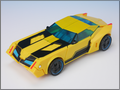 TFV01_bumblebee(1)