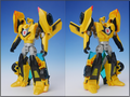 TFV01_bumblebee(12)