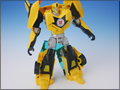 TFV01_bumblebee(10)