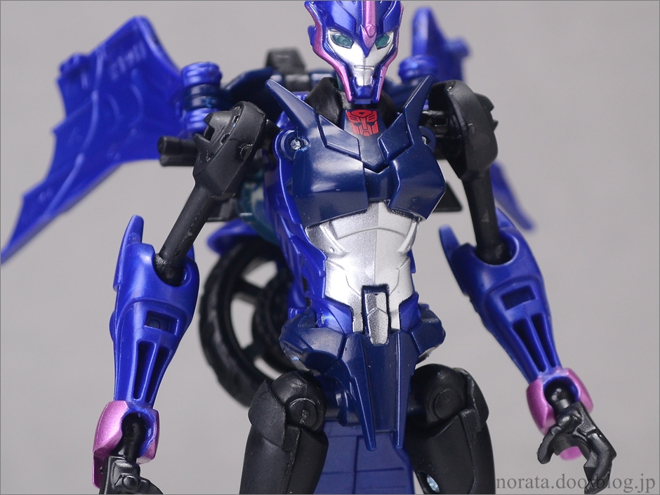 TFGo_arcee(12)