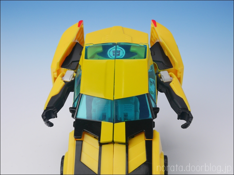 TFV01_bumblebee(8)