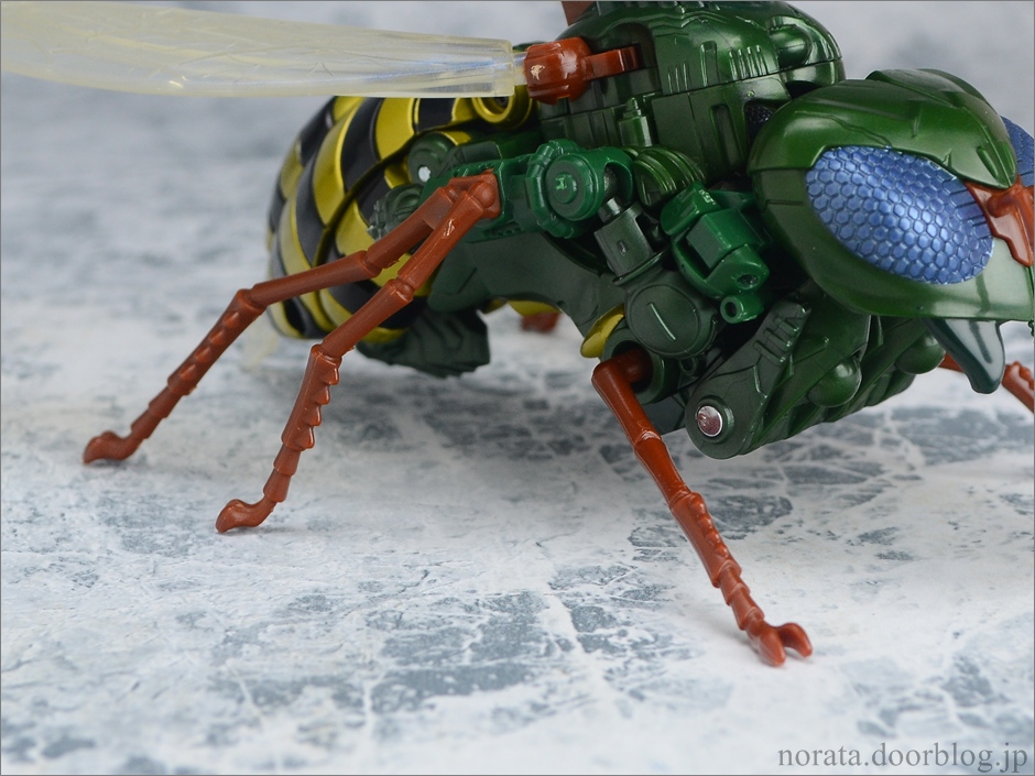 TG_waspinator(5)