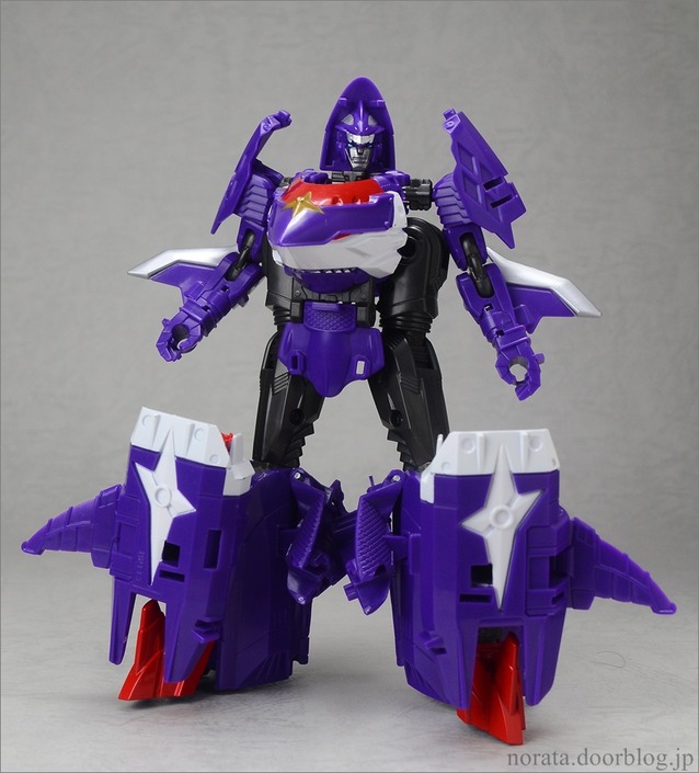 TFGo_sensui(10)