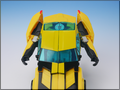 TFV01_bumblebee(8)