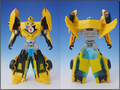 TFV01_bumblebee(11)