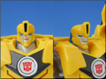 TFV01_bumblebee(13)