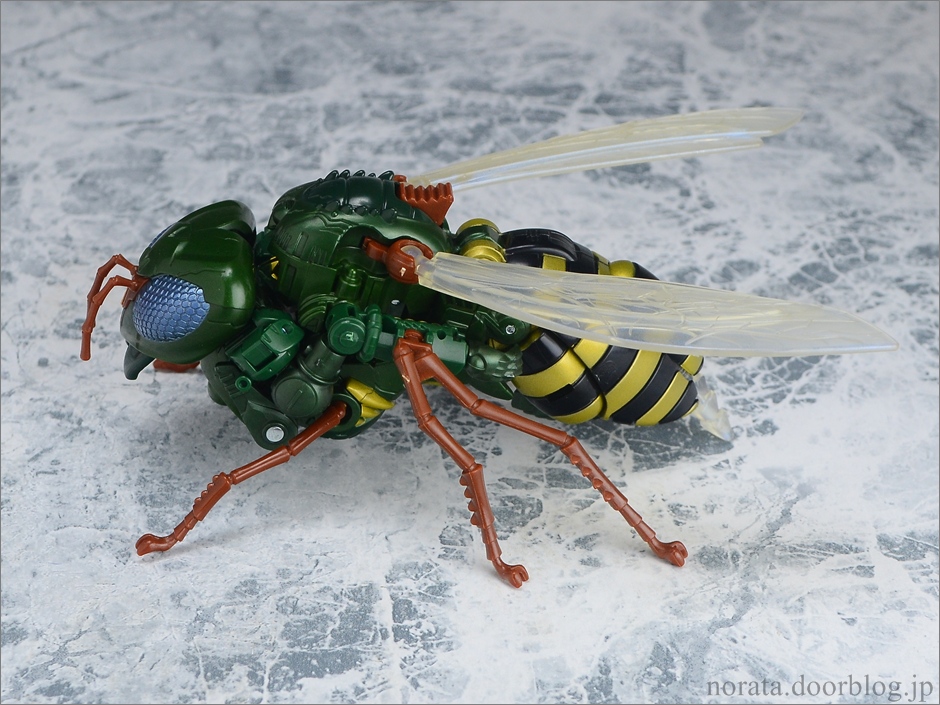 TG_waspinator(3)