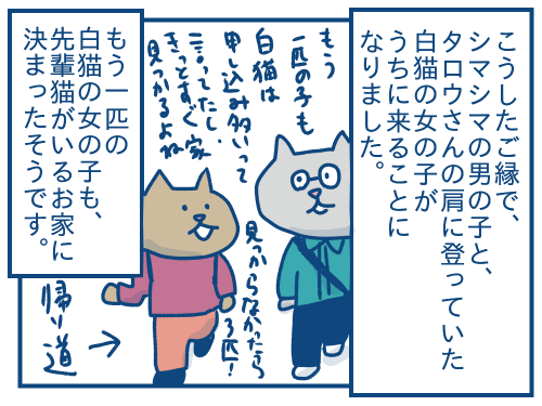 猫が家にやってくるまでの話 その3 各駅停車のノミさん 猫が家にやってくるまでの話 その3 各駅停車のノミさん