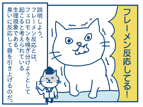 突然ソファーを噛み始めた猫の話 各駅停車のノミさん 突然ソファーを噛み始めた猫の話 各駅停車のノミさん