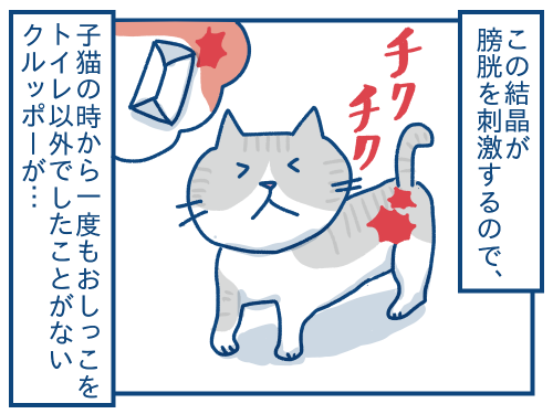 猫の尿路結石の話 : 各駅停車のノミさん