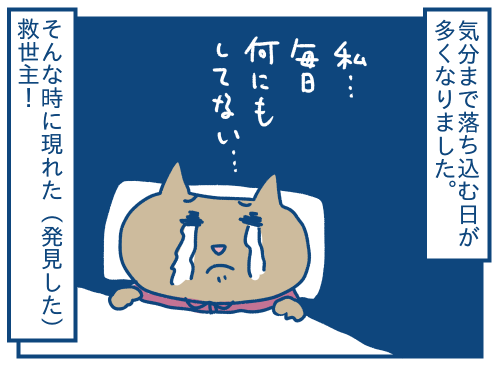 妊娠3ヶ月頃 つわりの話 各駅停車のノミさん