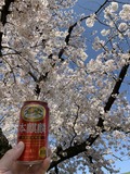 真の春はまだかー!
