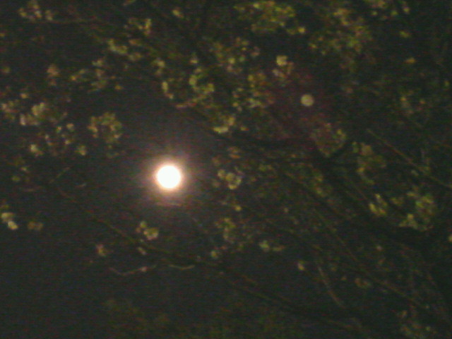 2c8f722a.jpg