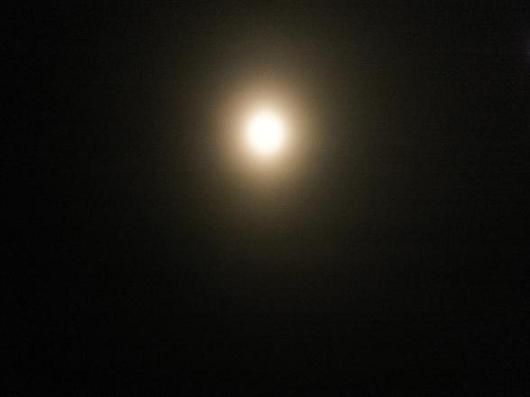 DSCF5012