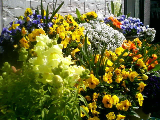 6989798_447661187_1large