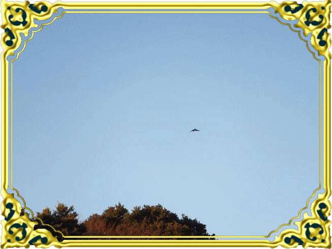 TOPsky