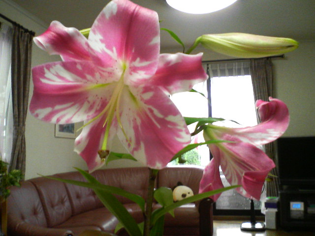 4bd6486c.jpg