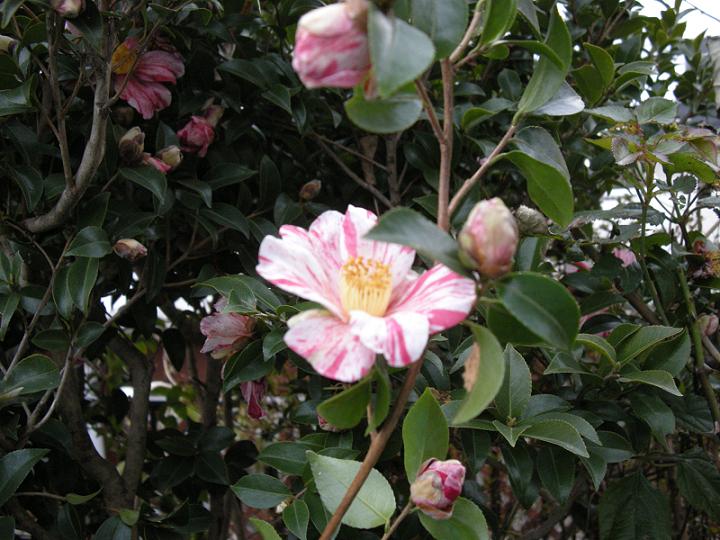 59b28377.jpg