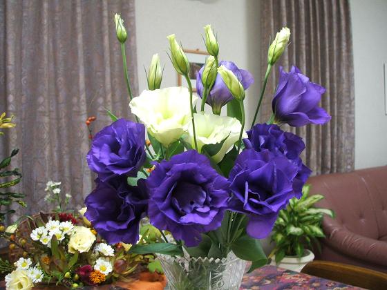 5a37d236.jpg