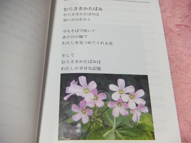 DSCF7074