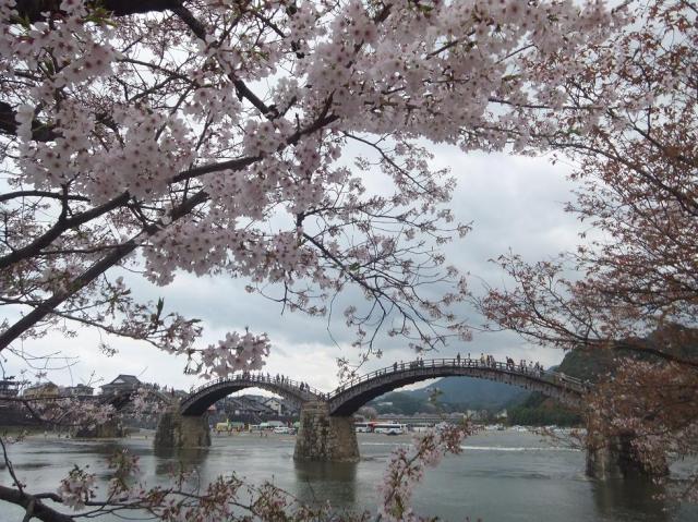 DSCF6762_convert_20150406162654