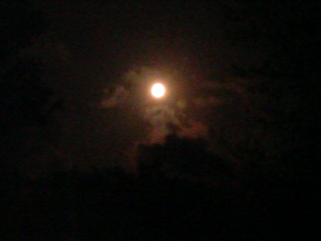 9a32747f.jpg