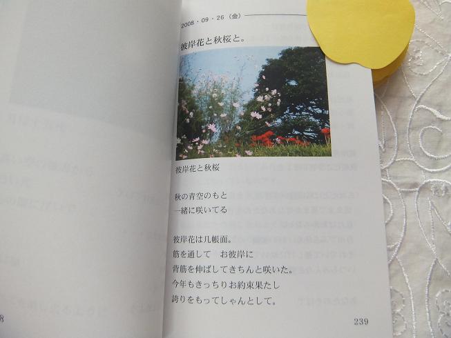 DSCF7032