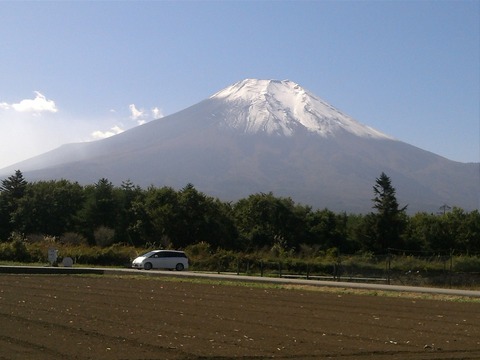 IMG00308