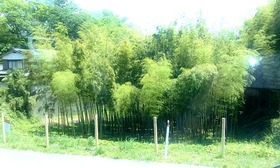 IMG00093