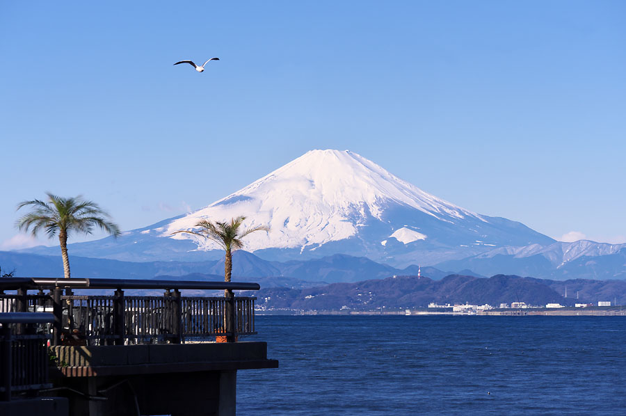 鎌倉 逗子 藤沢の富士山ビュースポット 海岸沿い 1 Nori Sukeの写真散歩